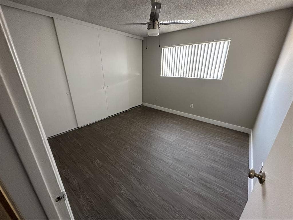 Looking for a roommate