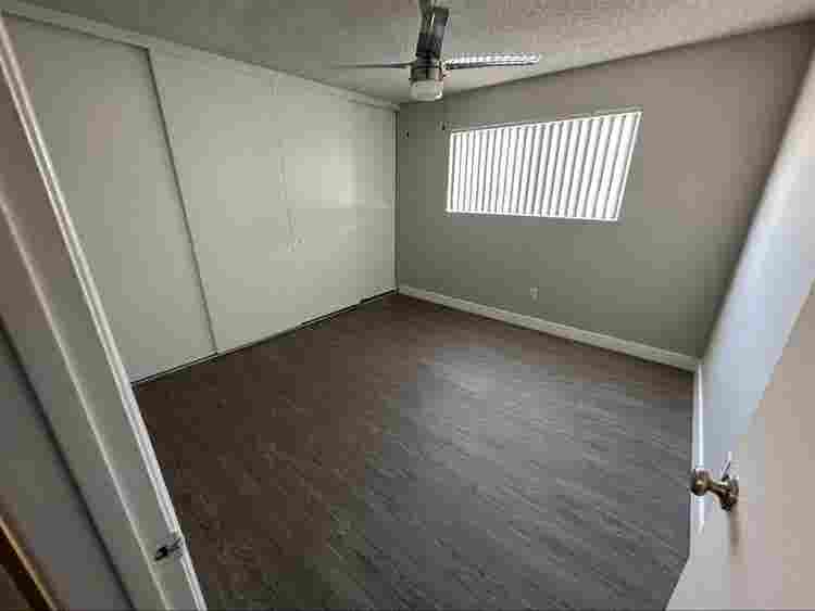 Looking for a roommate