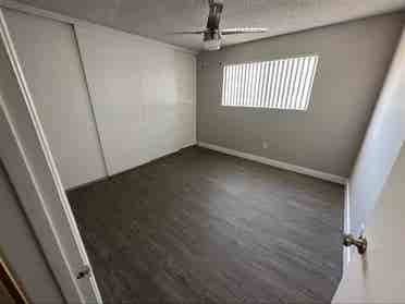 Looking for a roommate
