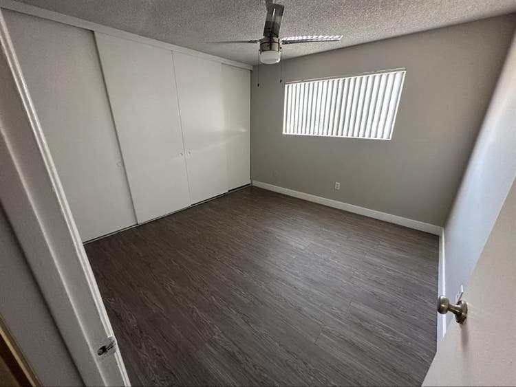 Looking for a roommate