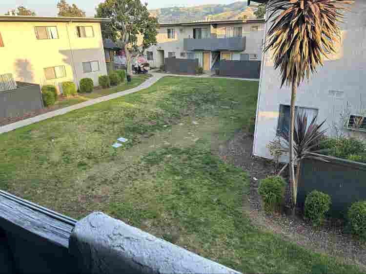Looking for a roommate