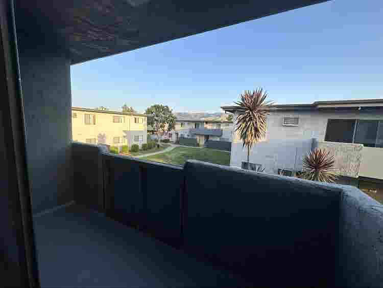 Looking for a roommate