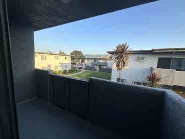 Looking for a roommate