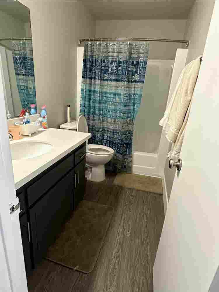 Looking for a roommate