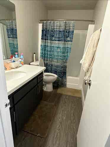 Looking for a roommate