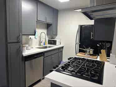 Looking for a roommate
