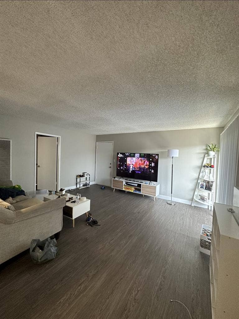 Looking for a roommate