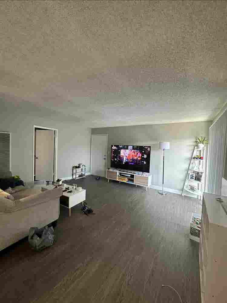 Looking for a roommate