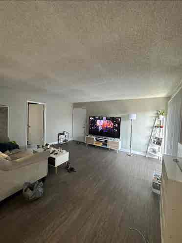 Looking for a roommate
