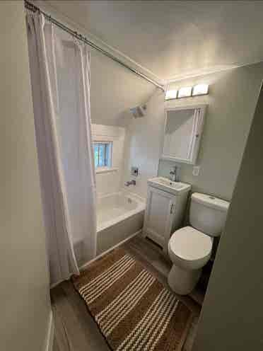 Walk to Downtown Furnished Rental