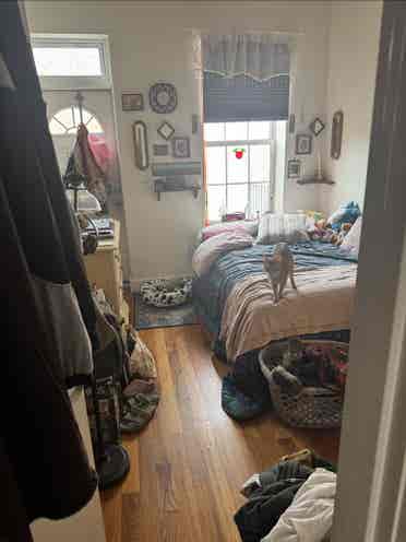 Roommates needed !