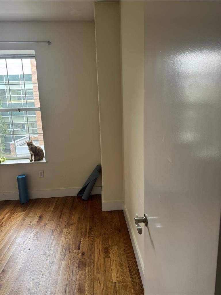 Roommates needed !