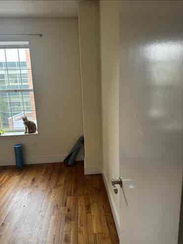 Roommates needed !