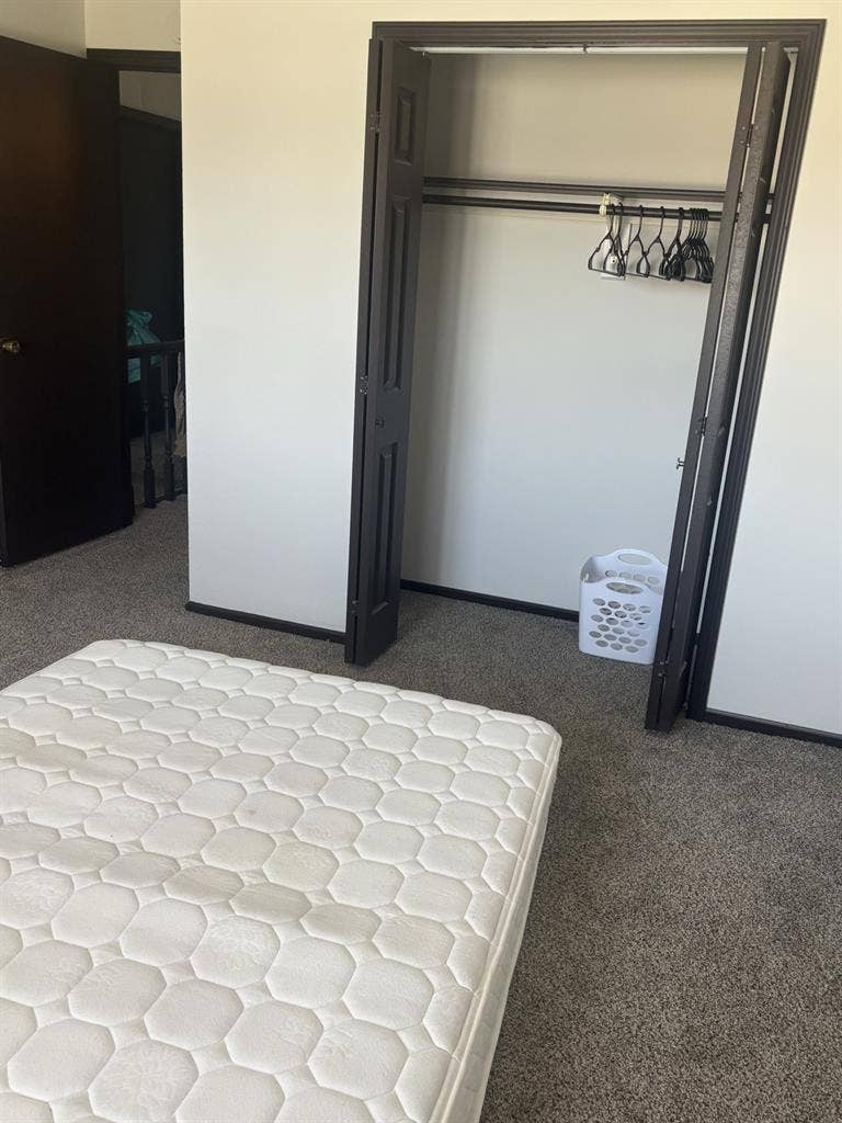 Female Roommate needed