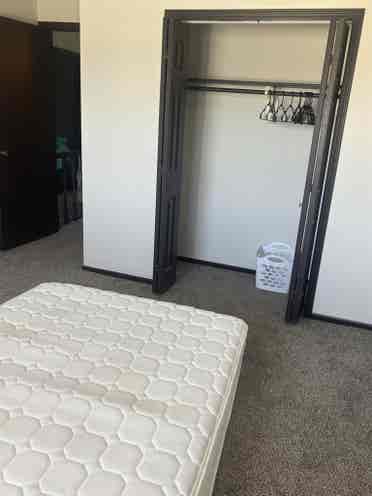 Female Roommate needed