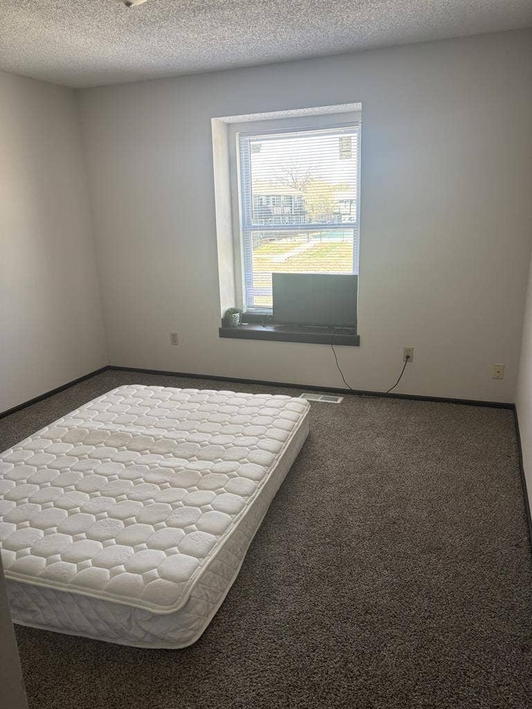 Female Roommate needed