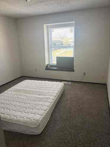 Female Roommate needed