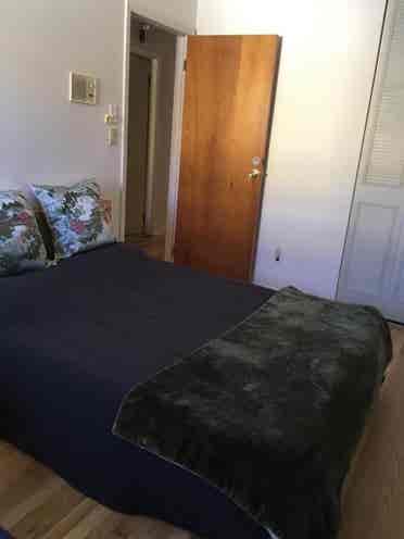 Looking for a roommatee