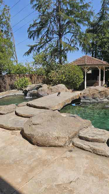 Room overlooking pool w/ home gym!
