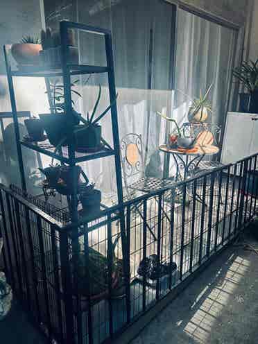 Seeking roommate - ba apartment