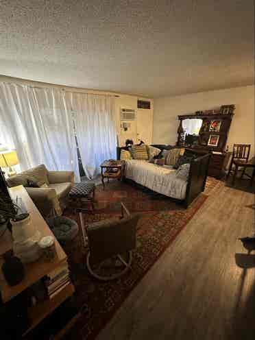 Seeking roommate - ba apartment