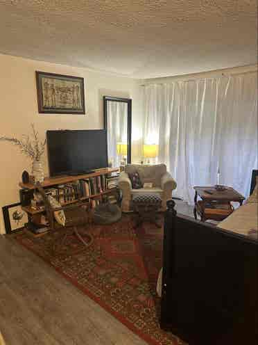 Seeking roommate - ba apartment