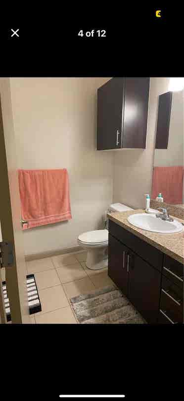 Studio in lark central Florida