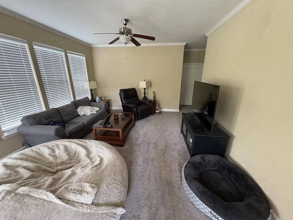 Roomate in northeast Raleigh