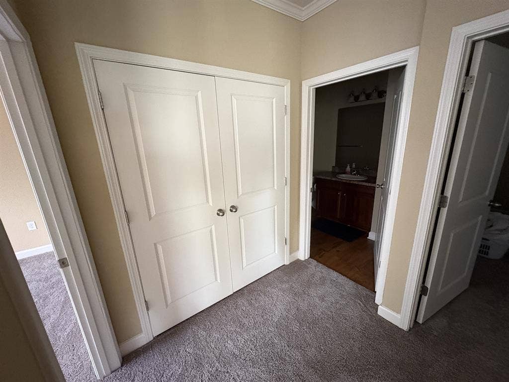 Roomate in northeast Raleigh