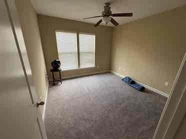 Roomate in northeast Raleigh