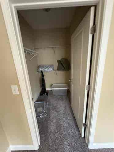 Roomate in northeast Raleigh