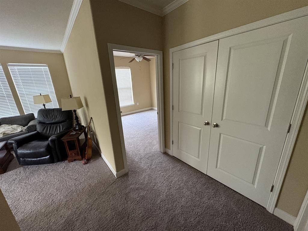 Roomate in northeast Raleigh