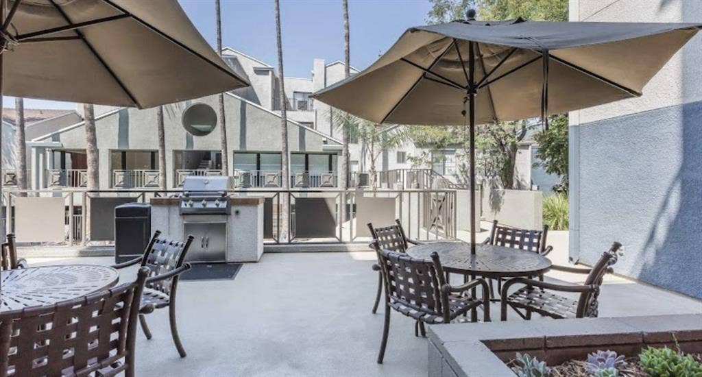 Looking for a roommate