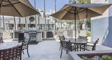 Looking for a roommate