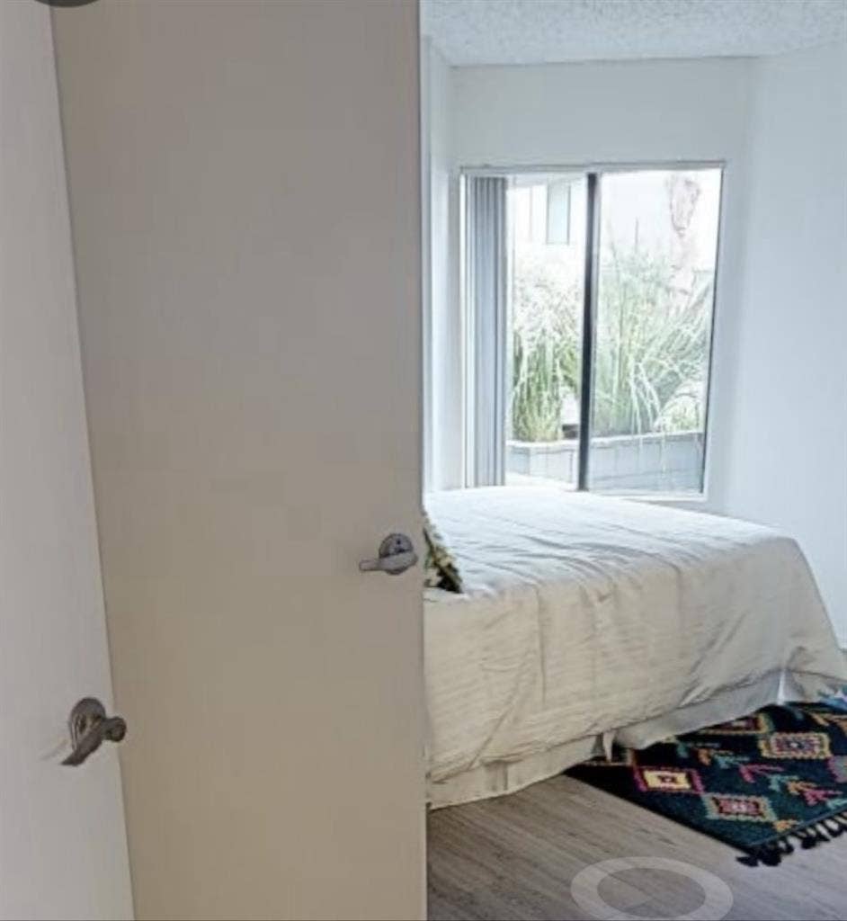 Looking for a roommate