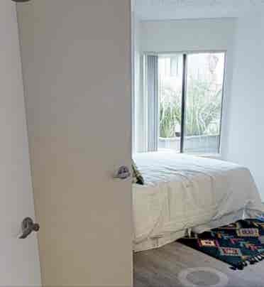 Looking for a roommate