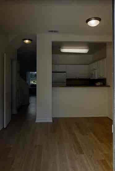 Looking for a roommate