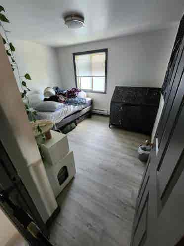 New Roommate Wanted