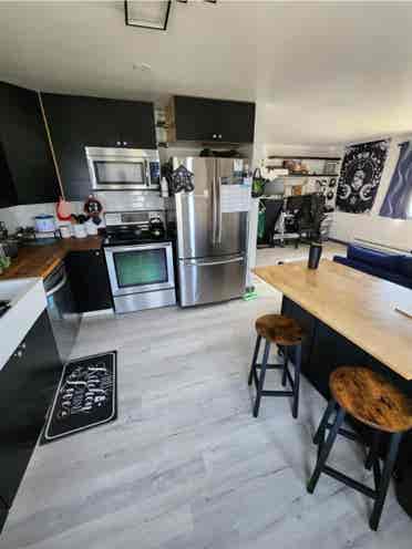 New Roommate Wanted