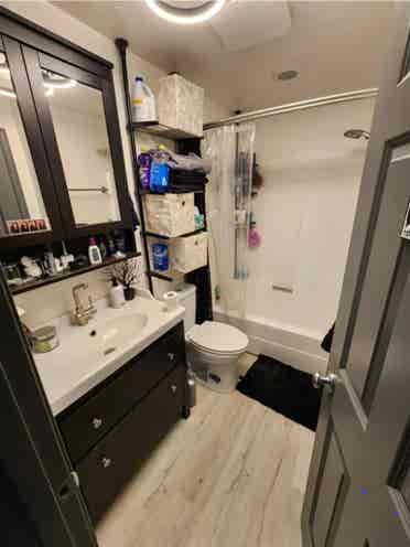 New Roommate Wanted