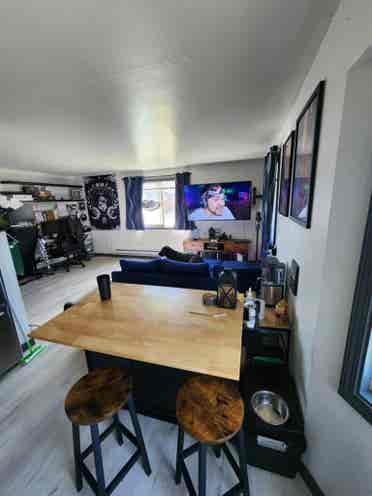New Roommate Wanted