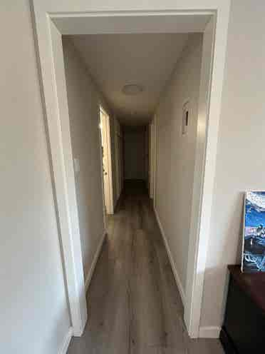 Looking for roommate!!