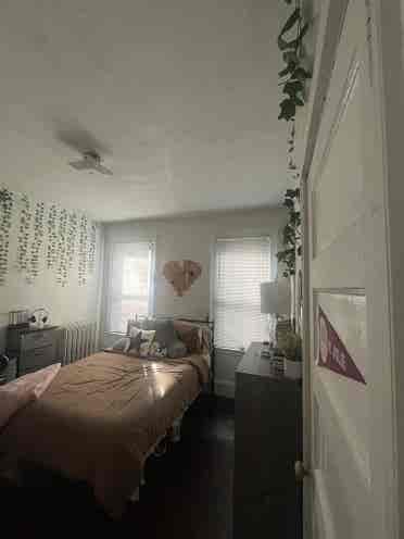 Room, starting sept first Brookline