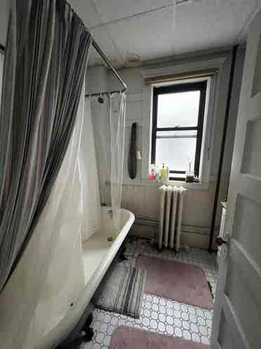 Private room available in Brookline