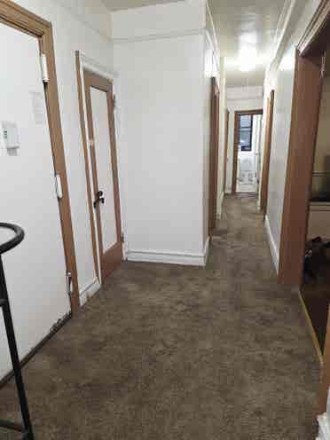 Looking for a roommate