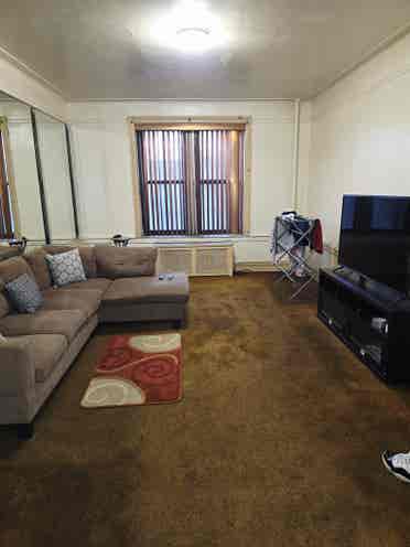 Looking for a roommate
