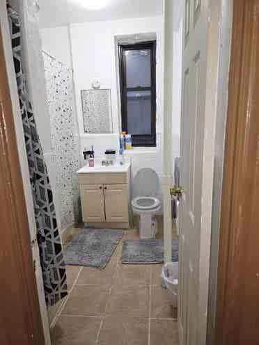 Looking for a roommate