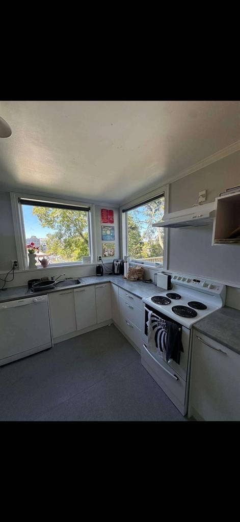 FLAT MATE WANTED ASAP!!