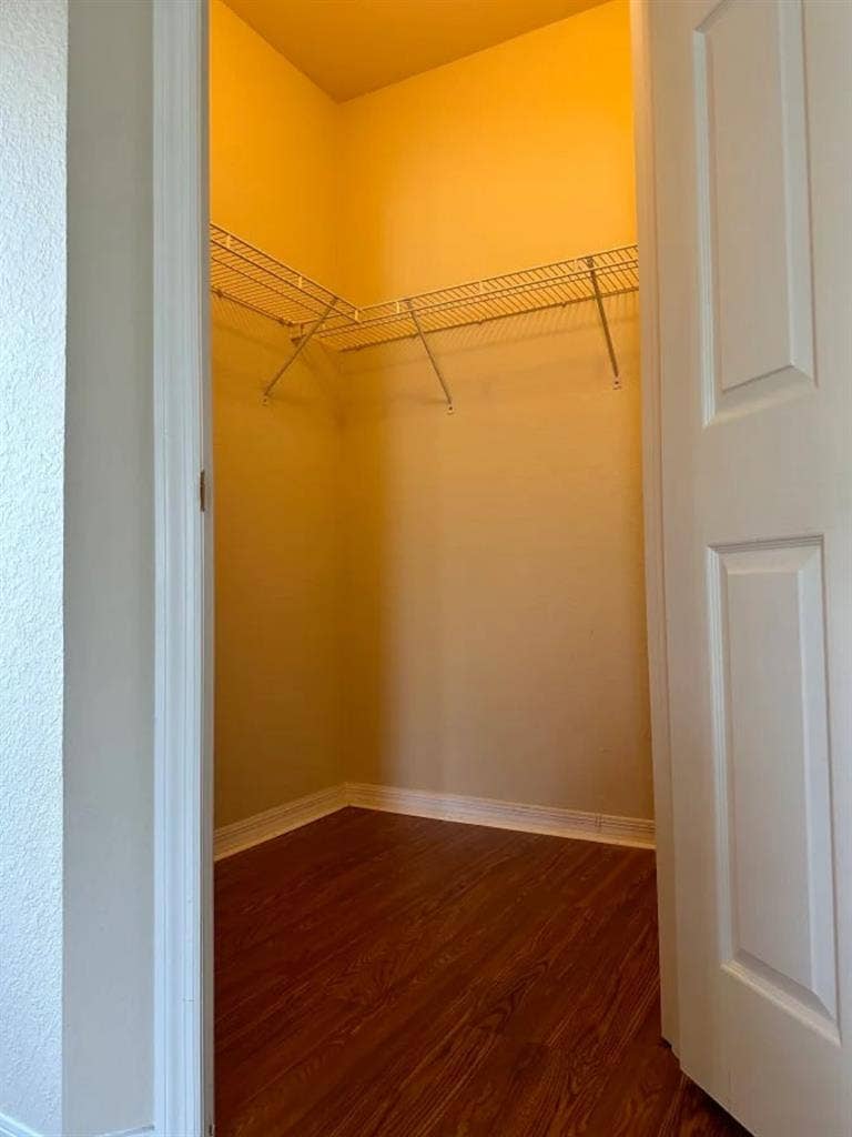 Spacious nice room for rentt