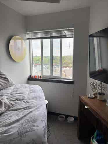 Room for rent foco